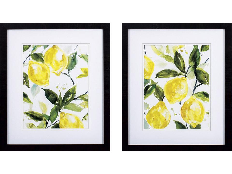 Farmhouse Lemony Branch Framed Art Set of 2