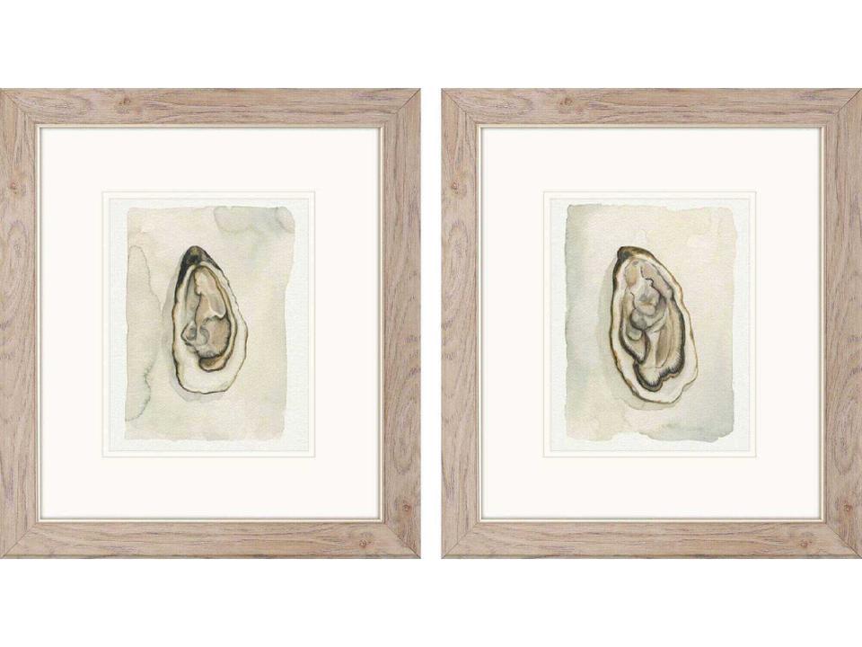 Waterside Soft Half Shell Wall Art Set of 2 with Natural Wood Frame