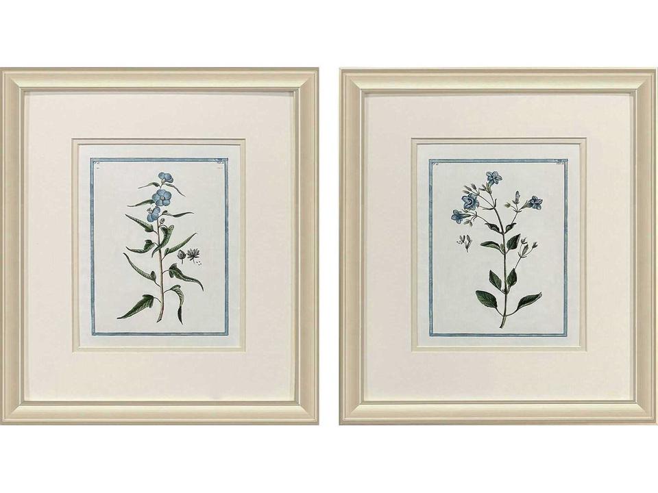 Florals Shabby Chic Botanical Wall Art Set of 2 in Champagne Gold