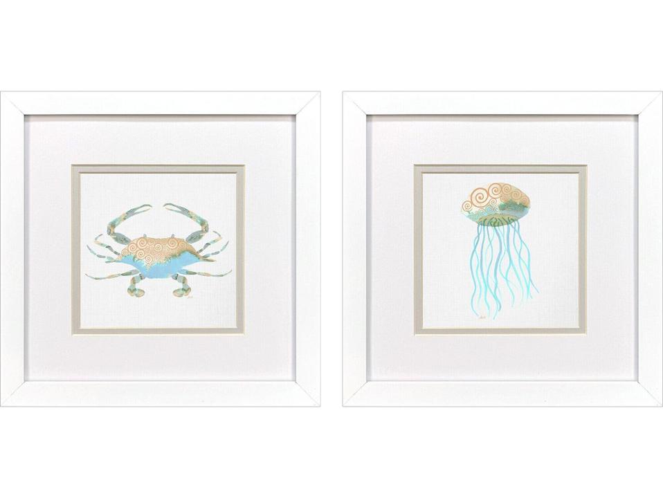 Sea Creatures II Framed Art Set of 2 with Glass Front
