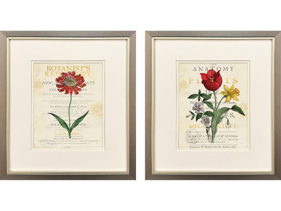 Favorite Flowers II Framed Art Set of 2 with Brushed Pewter Frames