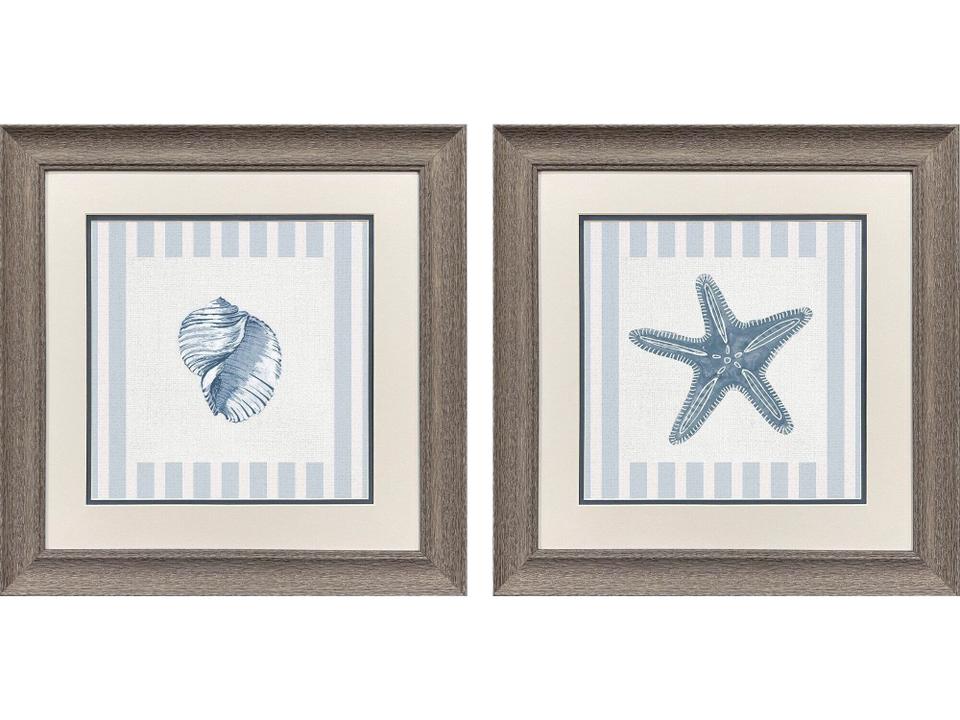 Ocean Finds II Painting Set of 2