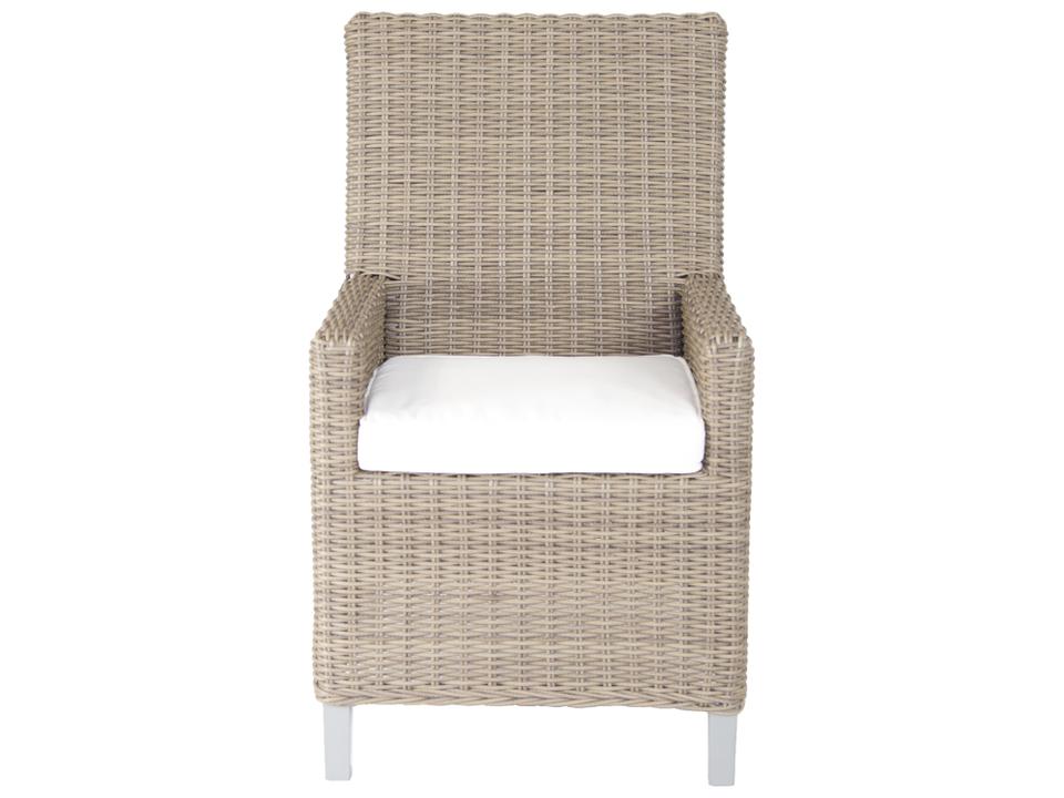 Palisades Wicker Dining Arm Chair with Cushions