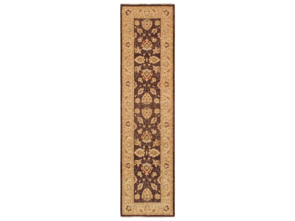 Melody Bordered Runner Area Rug Hand-Knotted Wool