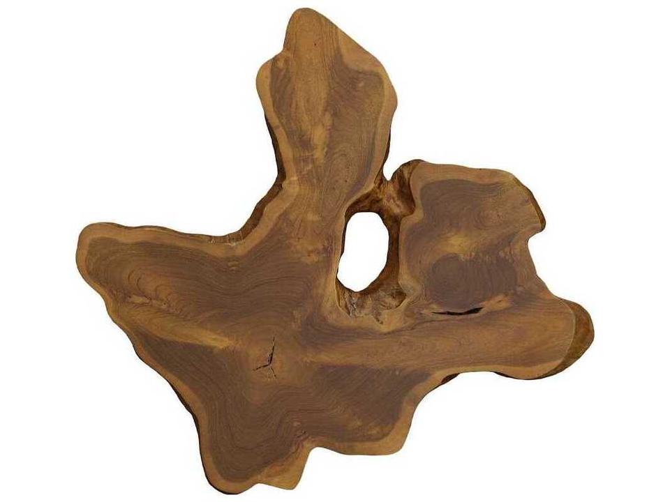 Freeform Natural Teak Wall Slice Wall Art in Natural Finish