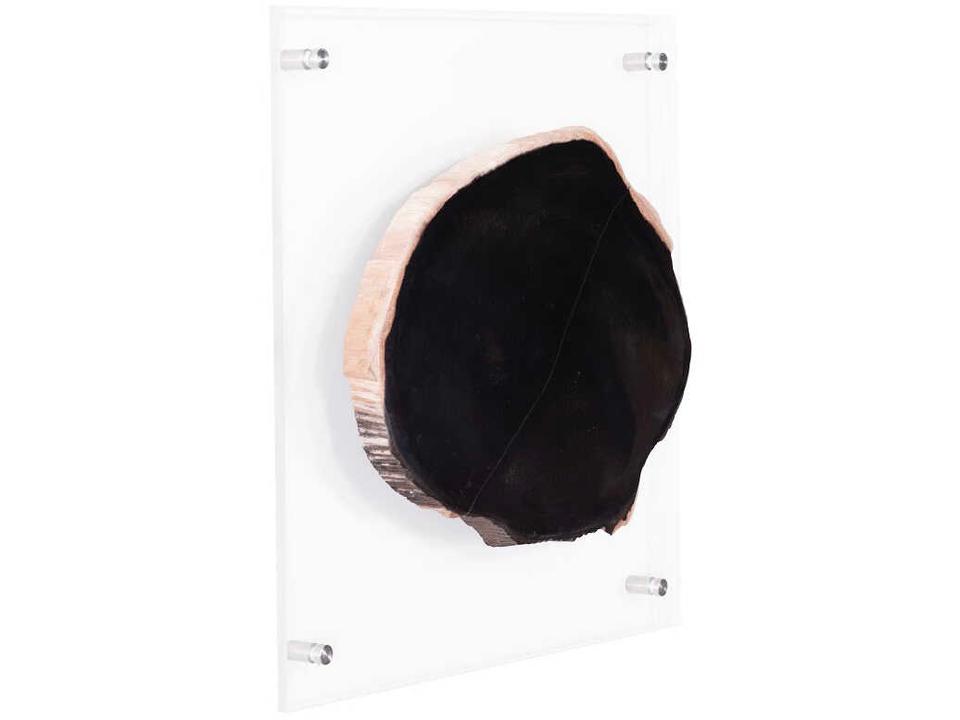 Floating Petrified Slice Wall Art in Black and Beige
