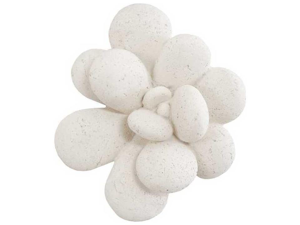 Oviferum Succulent Wall Art White Stone Finish