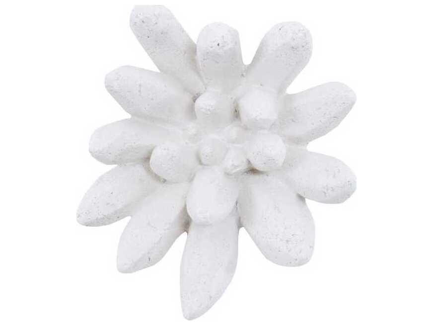 Compactum Succulent White Stone 3D Wall Art Sculpture