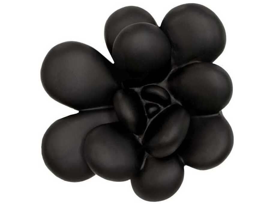 Oviferum Succulent Wall Art Smooth Matte Black