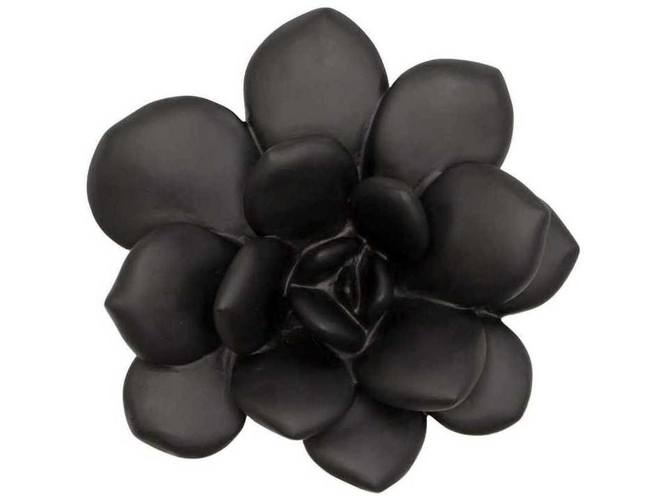 Laui Succulent Botanical Wall Art in Smooth Matte Black