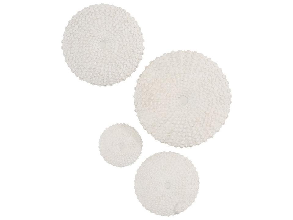 Sea Urchin Wall Art in Set Of 4