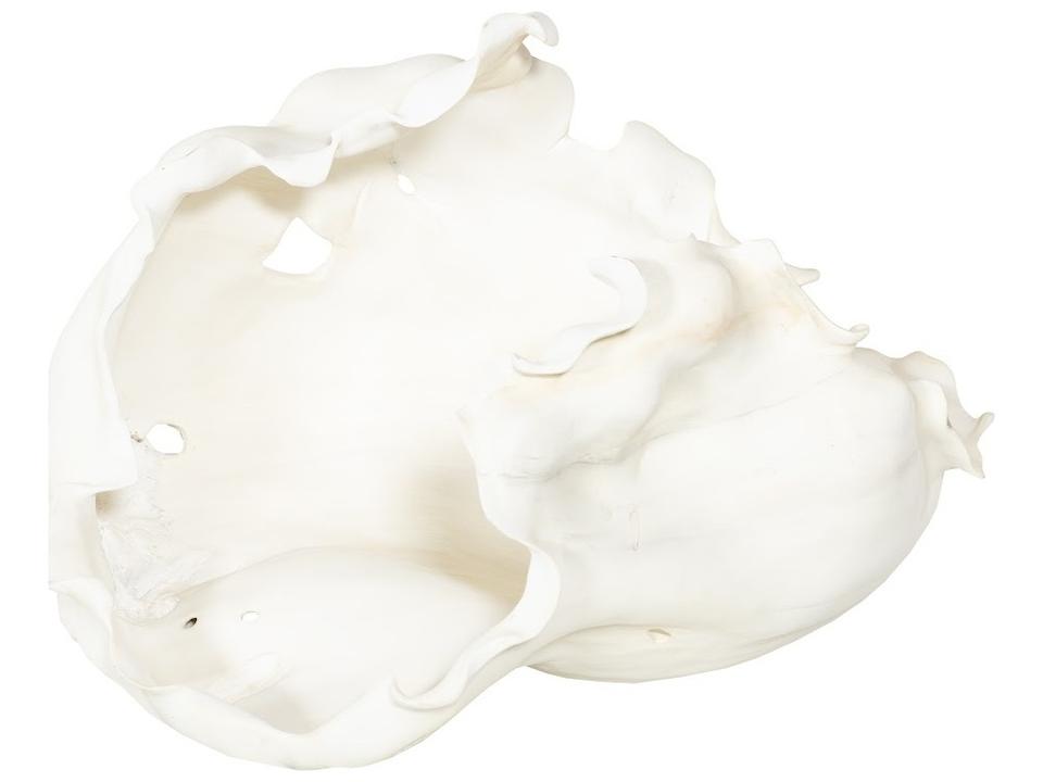 Cast Root Open Decorative Bowl in Faux Bleached Finish