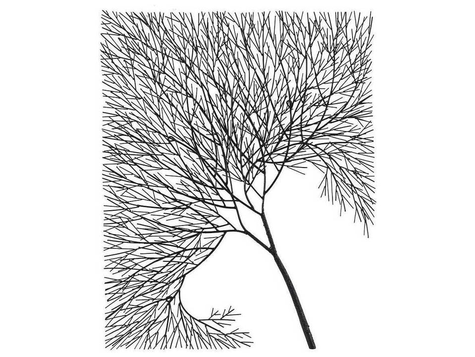 Rectangular Metal Wire Tree Wall Art in Black