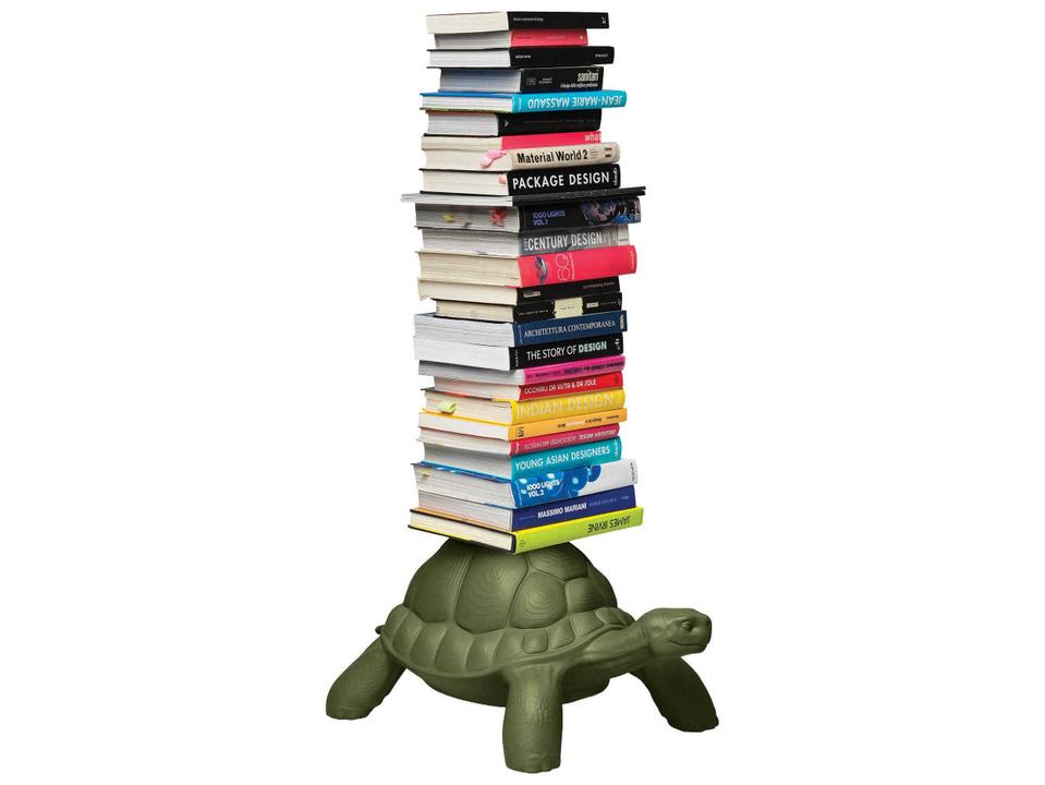 Turtle Carry