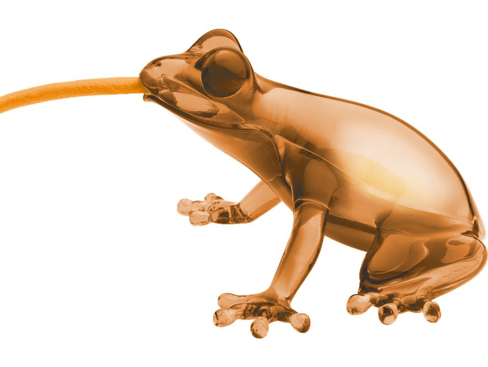 Hungry Frog