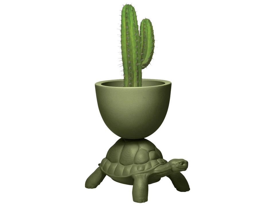 Turtle Carry