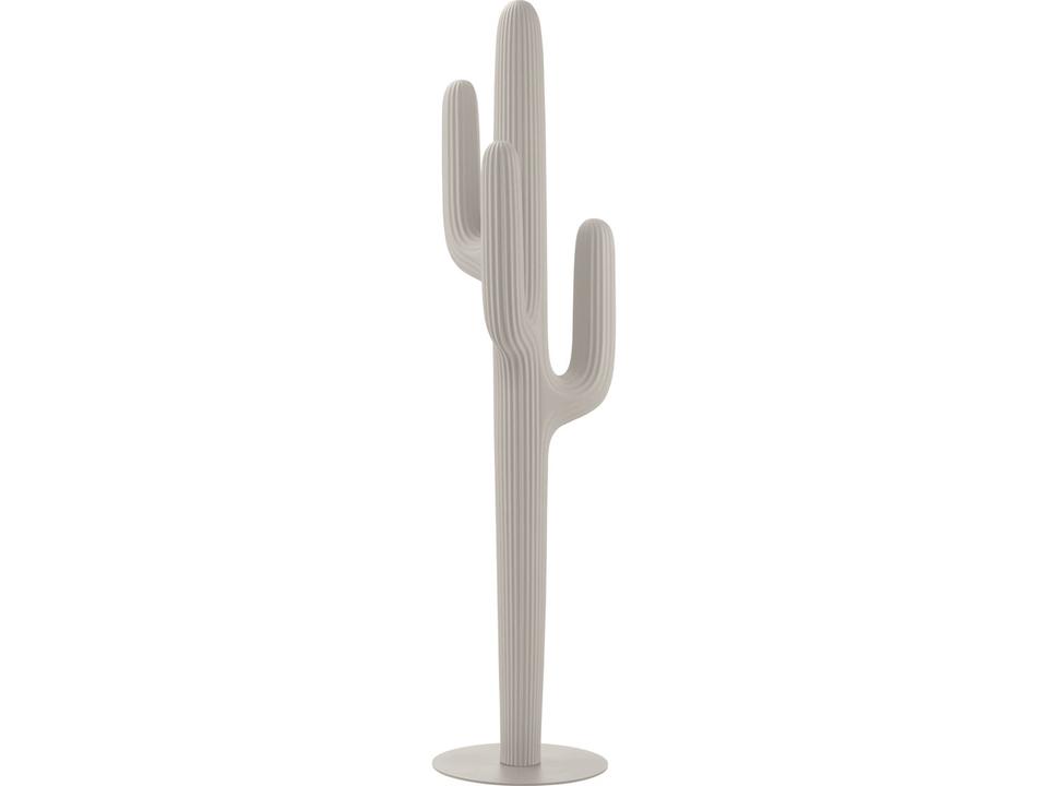 Saguaro