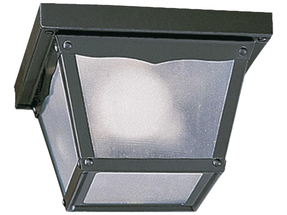 Gloss Black 1-light Outdoor Ceiling Light