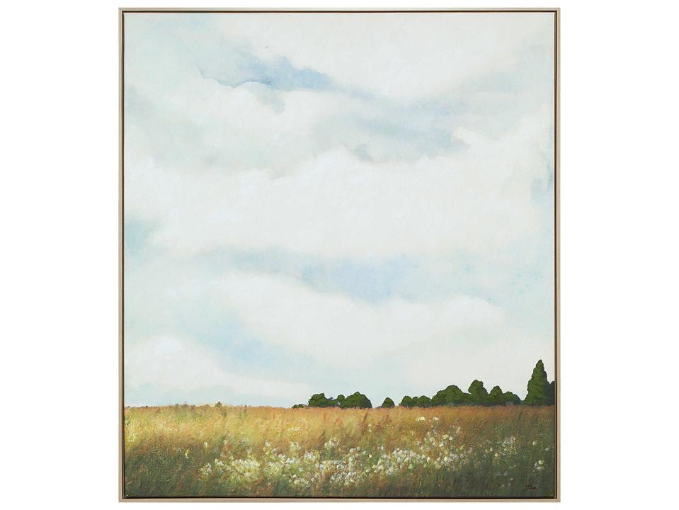 Lasso Canvas Art with Hand-Painted Accents and Bleached Wood Frame