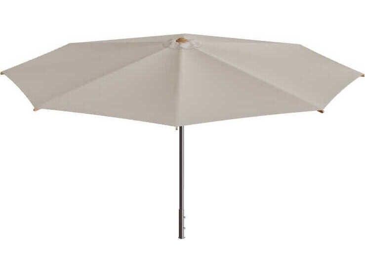 Shady Umbrella