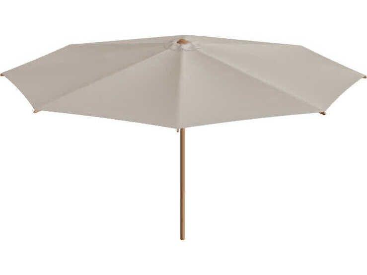 Shady Umbrella