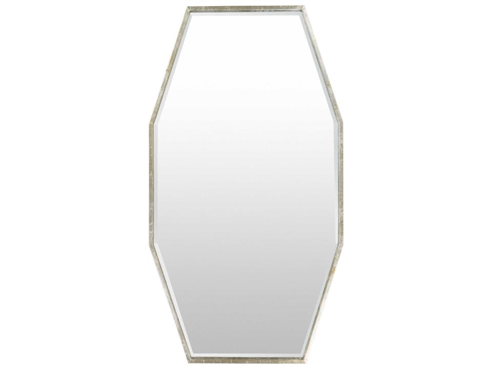 Adams 55 Inch Modern Accent Mirror in Silver Gilded Metallic