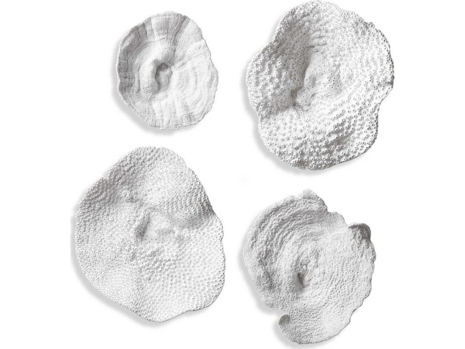 Sea Coral Antique White Wall Art Set of 4 by Grace Feyock