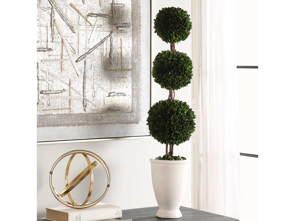 Preserved Boxwood