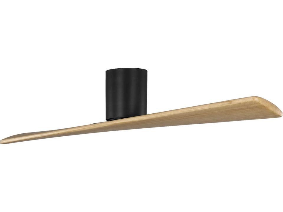 Plank 52-Inch 2-Blade Indoor Outdoor Smart Ceiling Fan in Midnight Black
