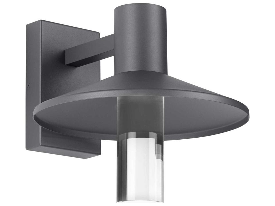 Ash 1-Light Outdoor Wall Sconce