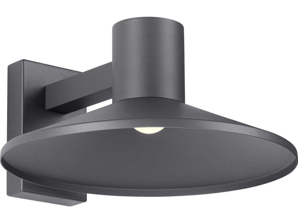 Ash 1-Light Outdoor Wall Sconce in Dark