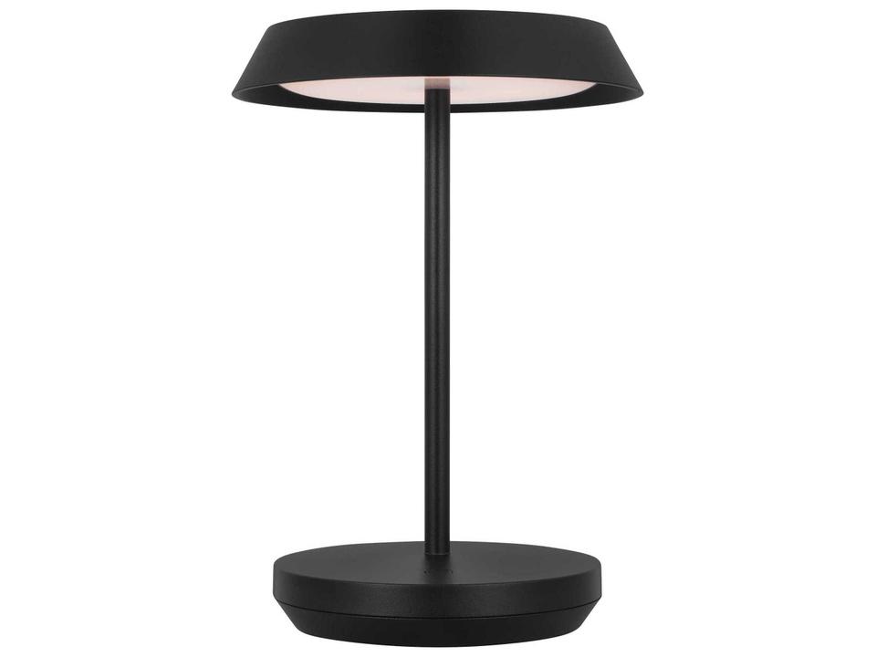 Tepa 1-Light Portable Outdoor Lamp in Black