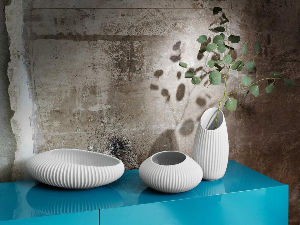 Shell White