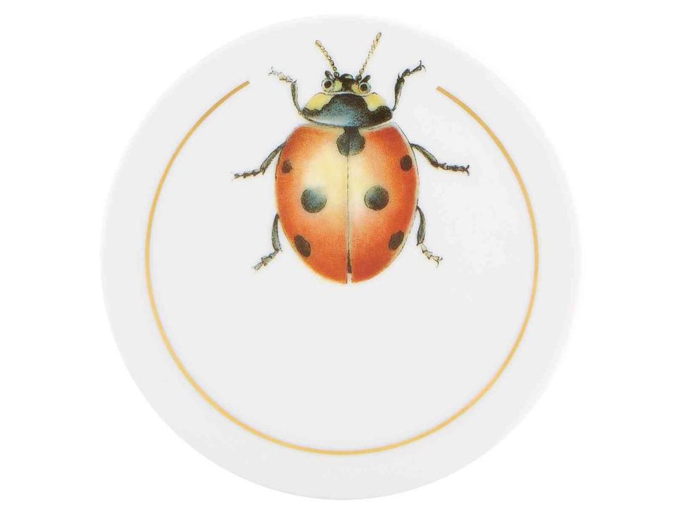 Insects