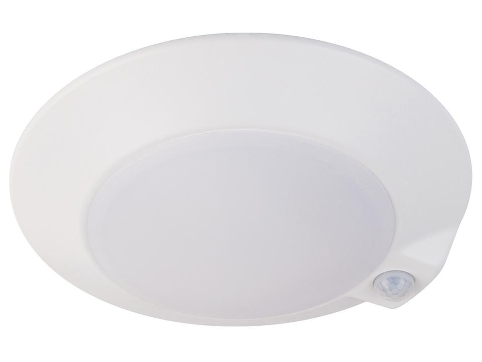 Disc
