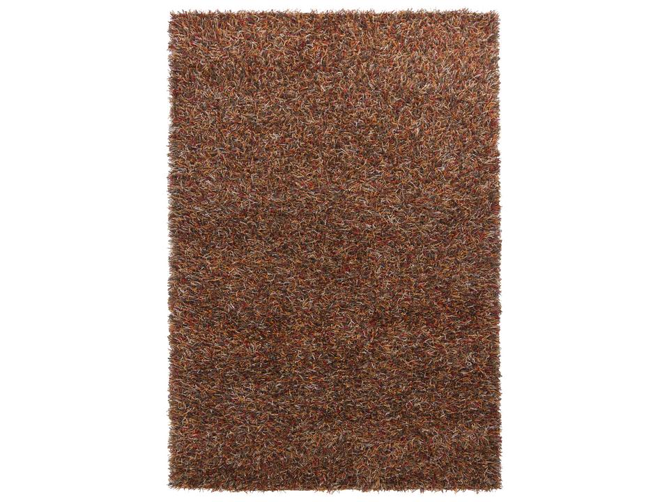 Astrid Polyester Hand Woven Shag Area Rug in Multi
