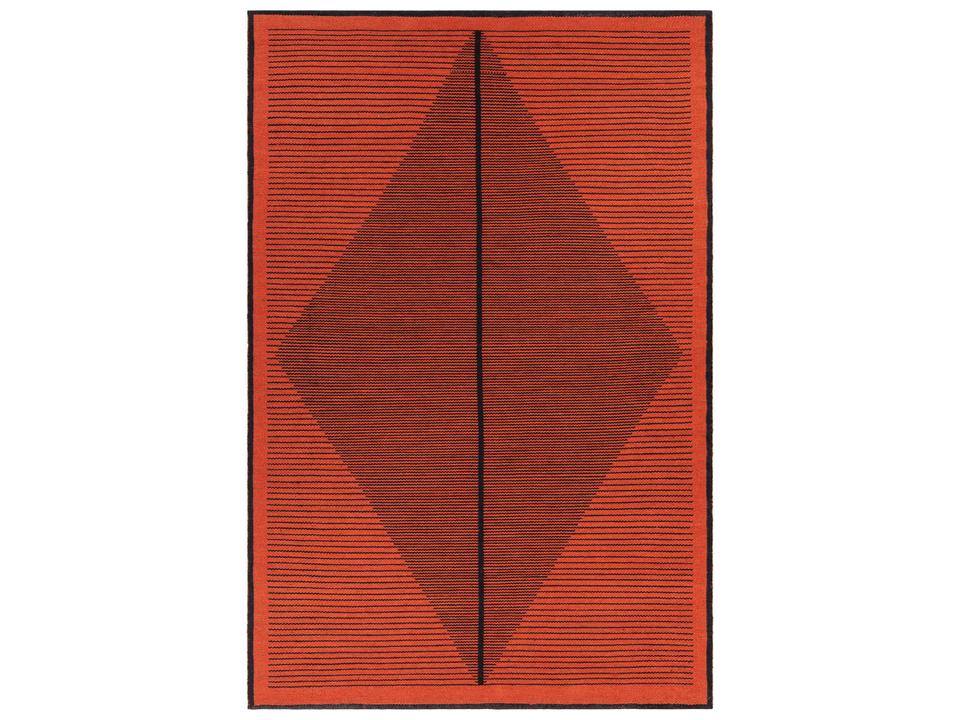 Elyza Hand Woven Indoor Outdoor Area Rug in Rust and Black