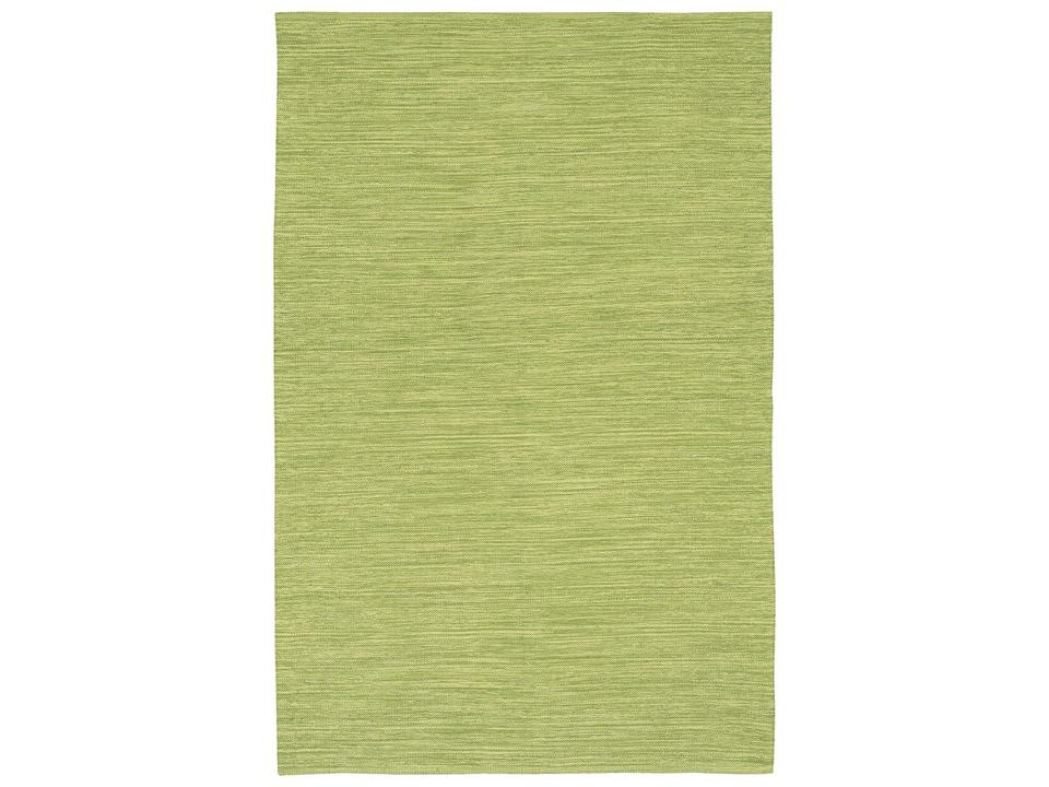 India Contemporary Hand-Woven Cotton Area Rug