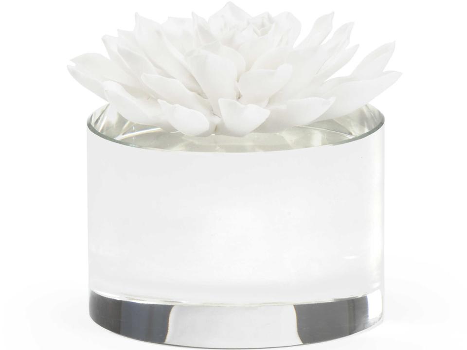 Claire Bell Succulent Decorative Accent with Crystal Base