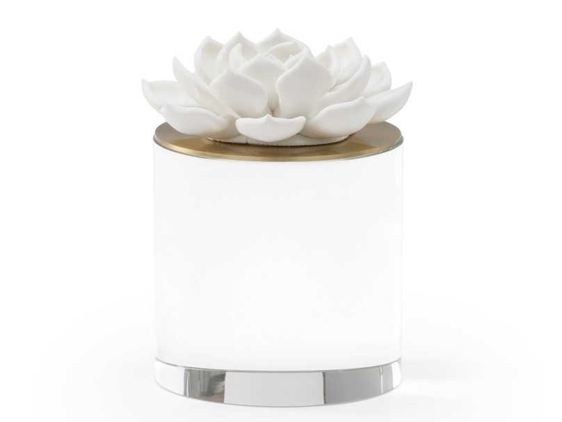 Claire Bell Succulent Sculpture Medium with Crystal Base