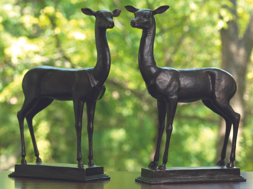 Fawns