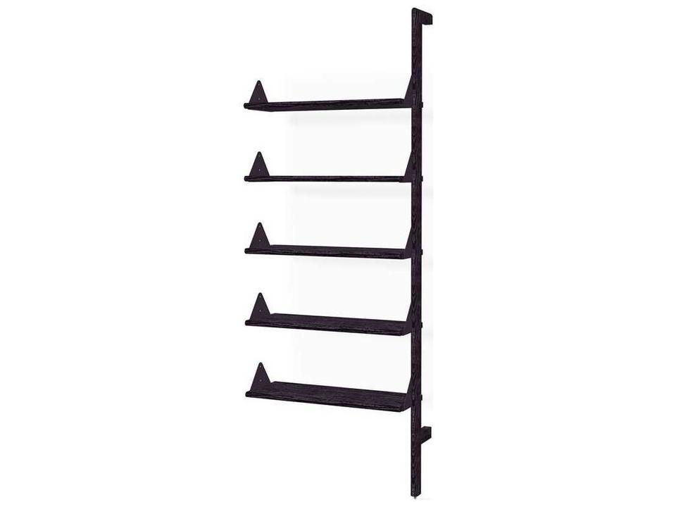 Branch Modular Ash Black Bookcase