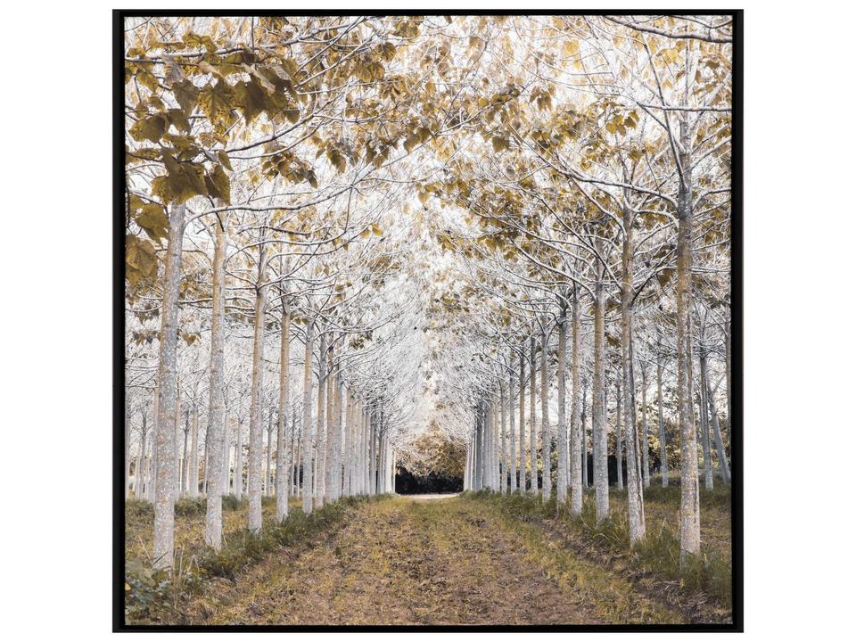 White Gold Square Canvas Wall Art in Satin Black Floater Frame