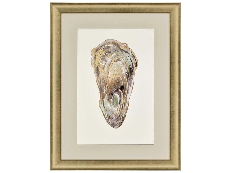 Crassostrea Virginica II Framed Wall Art Coastal Oyster Design