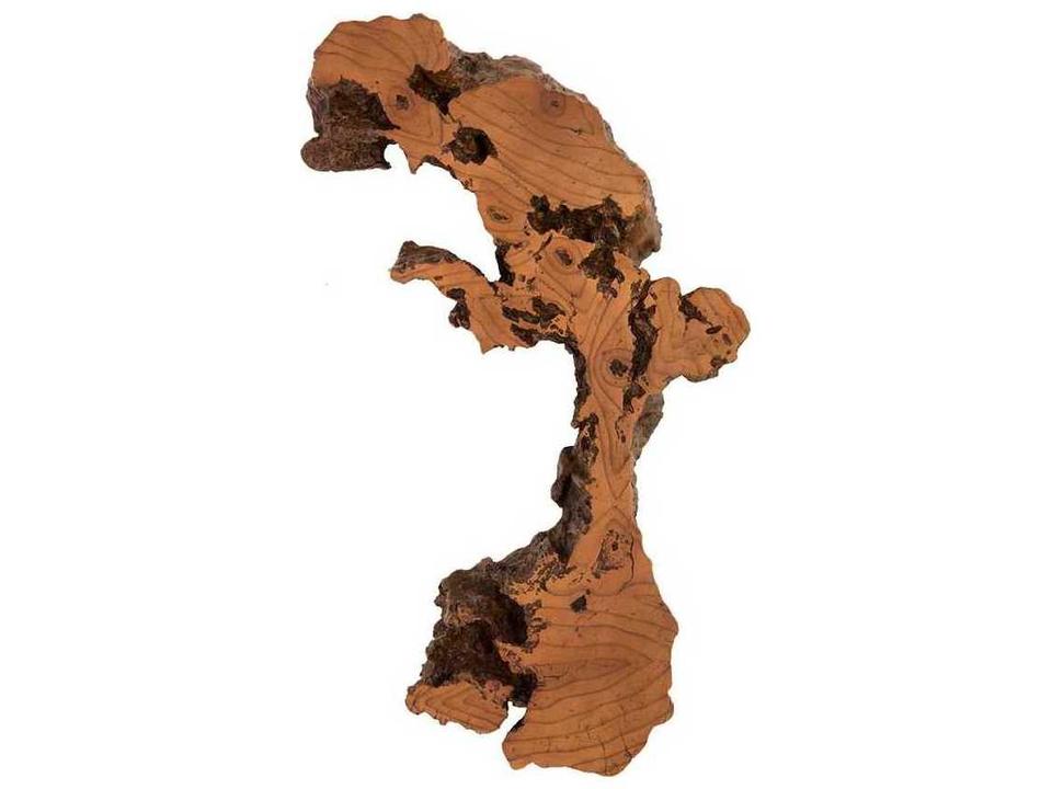 Burles Wall Art in Faux Bois Resin from the Cast Naturals Collection