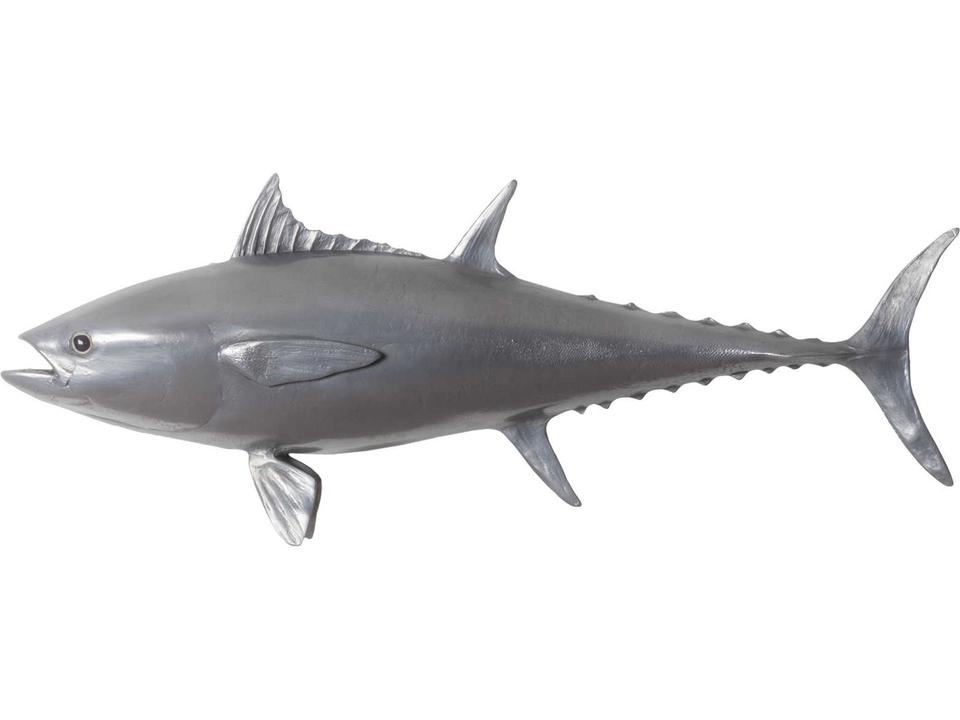 Bluefin Tuna Fish Polished Aluminum Wall Art
