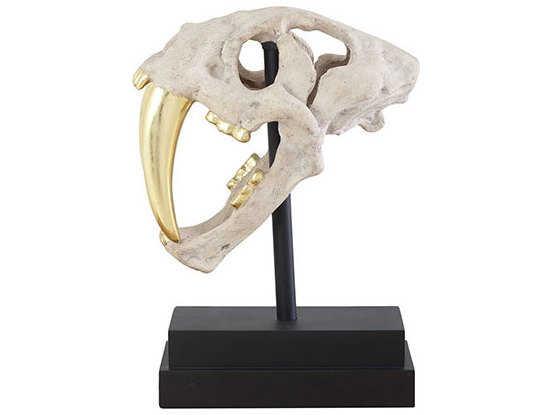 Saber Tooth Tiger Skull Sculpture in Roman Stone and Gold Leaf