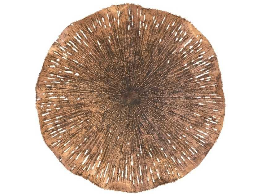 Lotus Metal Wall Art in Copper and Black