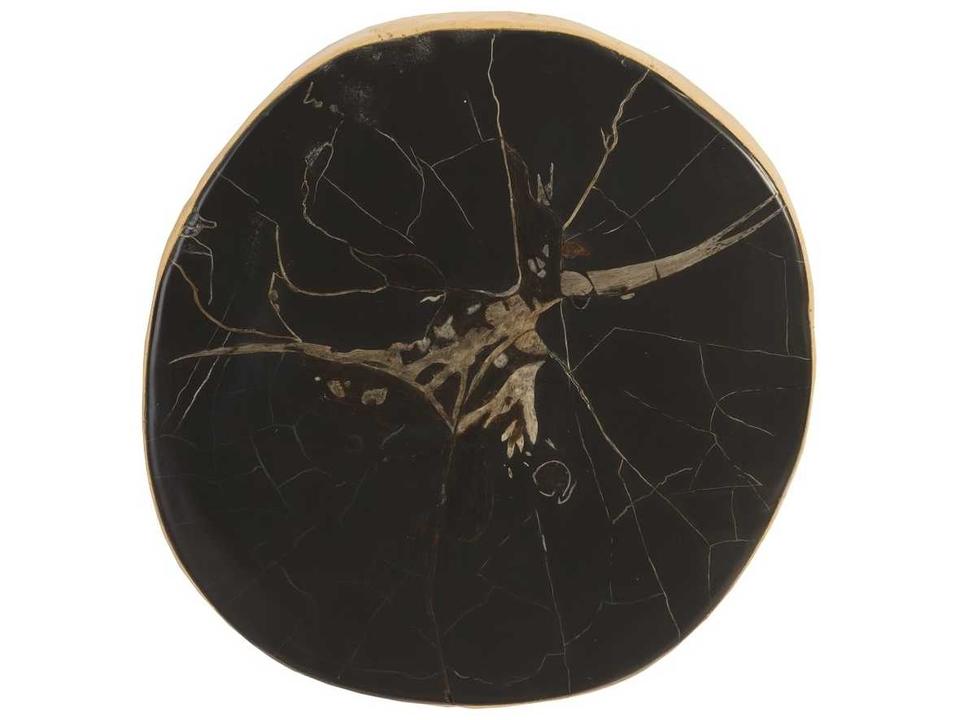Cast Naturals Petrified Wood Wall Tile in Brown Black Resin