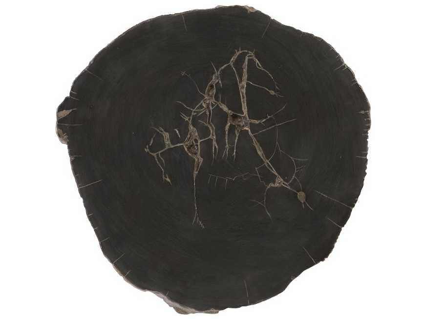 Cast Naturals Petrified Wood Wall Tile in Black and Brown Resin Composite
